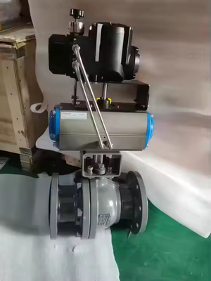 TS800 24VDC ελεγκτής θέσης βαλβίδας ελέγχου με επικοινωνίες HART