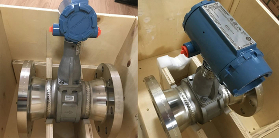 Αρχικό μετρητή ροής σειράς Emerson Rosement 8800/8750w