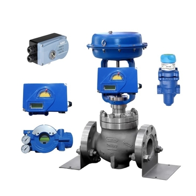 Pneumatic Control Valves FOXBORO Positioner and Burkert Positioner Spiraxsarco Reducing Valve