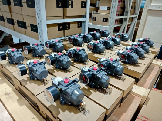 Fisher 67CFR Φίλτρο Ρυθμιστή Βαλβίδα Μείωσης Πίεσης 450 psig