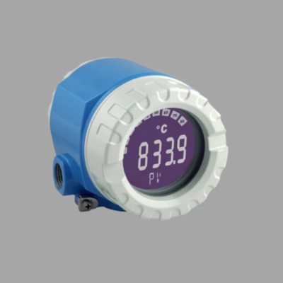 Pressure/flow control device with Endress+Hauser Proline Prowirl D 200 vortex flowmeter and ITEMP TMT188 temperature transmitter