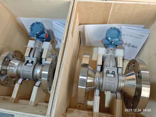 Ροόμετρο Υψηλής Ακρίβειας Φλαντζωτό Rosemount Σειρά 8800 Μέτρηση Ατμού Αερίου Υγρού Ψηφιακοί Μετρητές Ροής Vortex