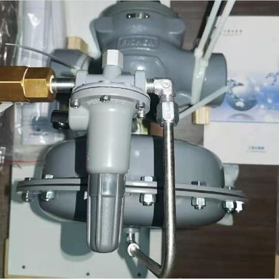 Fisher 1098-EGR Πιλοτική βαλβίδα μείωσης πίεσης φυσικού αερίου με υψηλή ακρίβεια για βιομηχανική χρήση