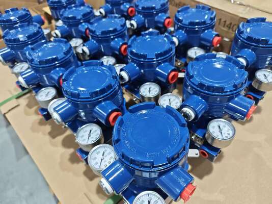 Έξυπνο πνευματικό Positioner AVP300 βαλβίδων ελέγχου με τη βαλβίδα του Φίσερ