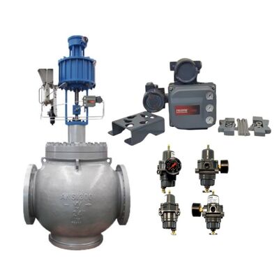 Ψηφιακός Ελεγκτής Θέσης Βαλβίδας Fisher DVC6205 DVC6215 IP66 Τηλεχειριζόμενος Τύπου Split