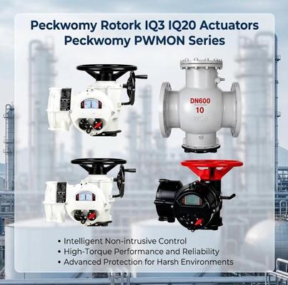 Η σειρά Peckwomy PWMON ανθεκτικός σε έκρηξη OEM ηλεκτρικοί ενεργοποιητές σφαίρας οθόνης αερίου αντικαταστάσιμοι ενεργοποιητές Rotork IQ3 IQ20