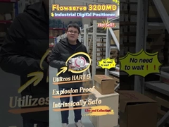 Διορθωτής θέσης βαλβίδας Flowserve 3200MD