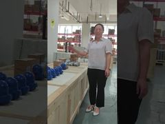 Αναστροφική υδροφράκτης ατμού Spirax Sarco Σειράς B2 από χυτοσίδηρο 62756 62762 62783 FNPT